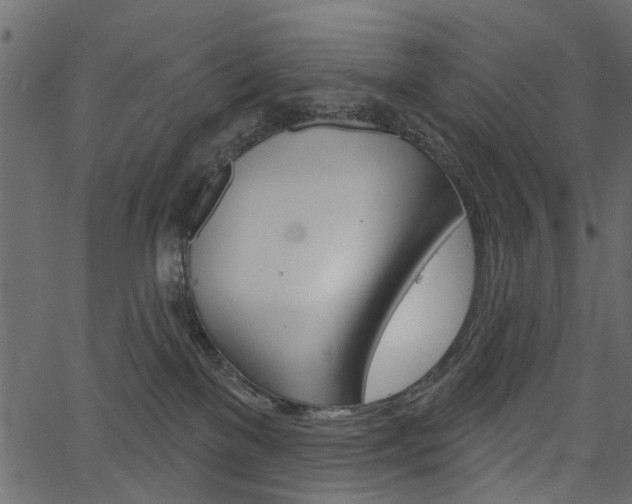 X0000067390137200603311005