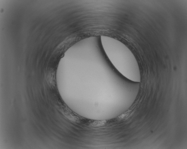 X0000067390138200603311005