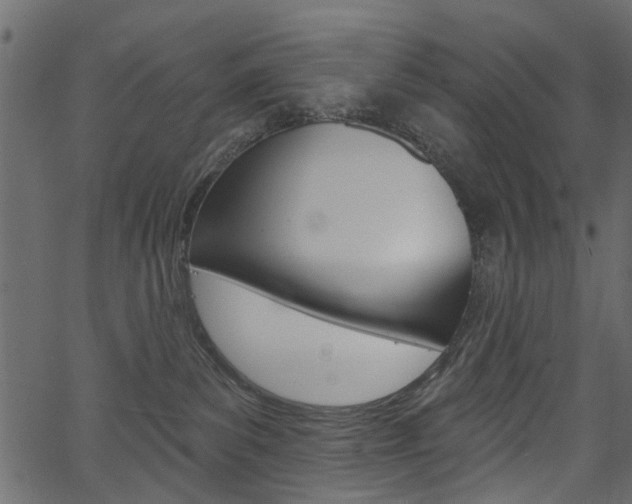 X0000067390139200603311005