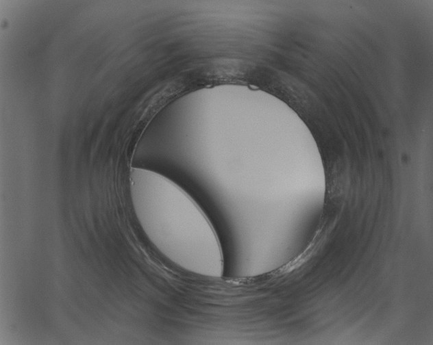 X0000067390140200603311005