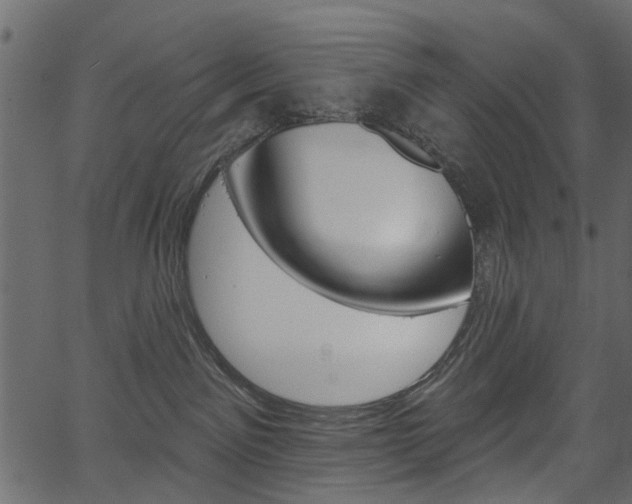 X0000067390141200603311005