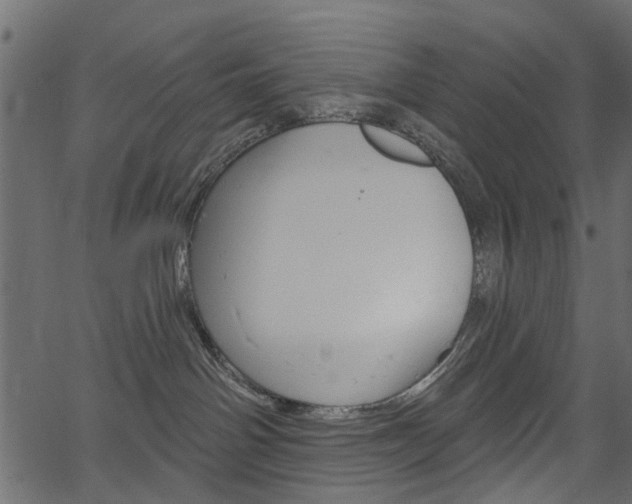 X0000067390142200603311005