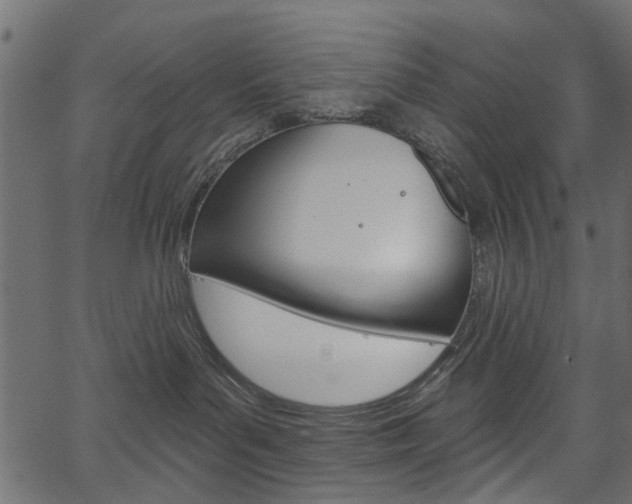 X0000067390143200603311005