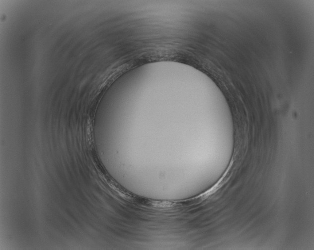 X0000067390144200603311005