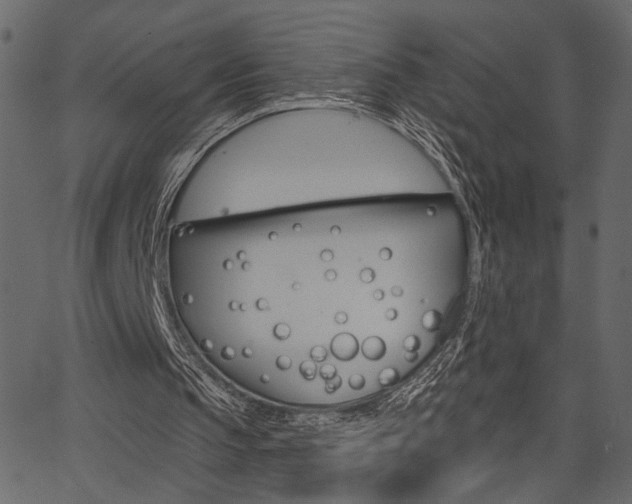 X0000067390145200603311004