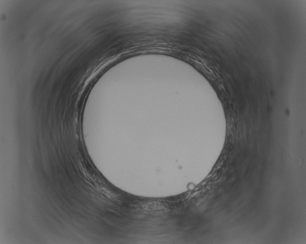 X0000067390146200603311004