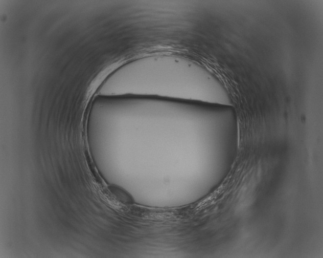 X0000067390147200603311004