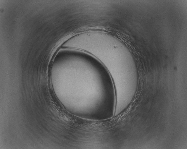 X0000067390148200603311004