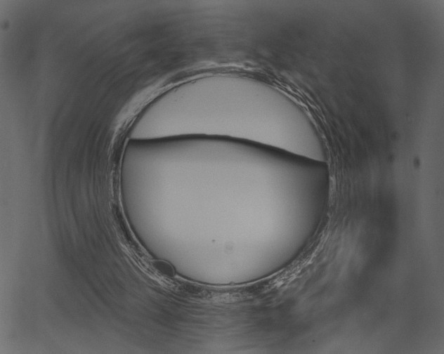 X0000067390149200603311004