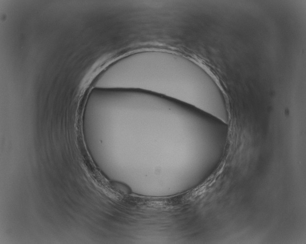 X0000067390151200603311004