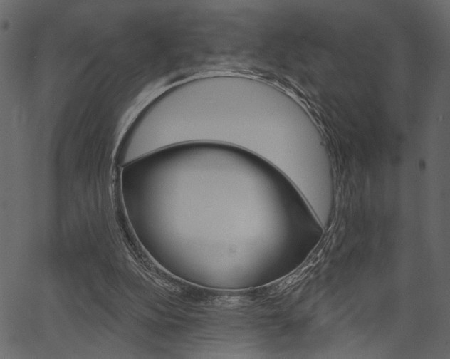 X0000067390152200603311004