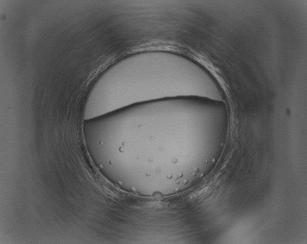 X0000067390153200603311004