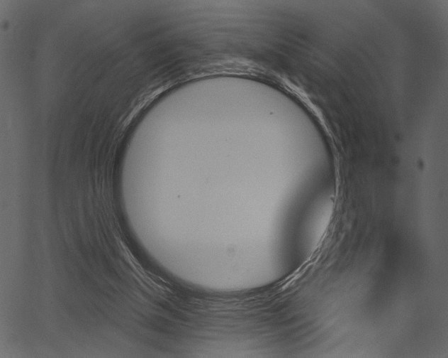 X0000067390154200603311004