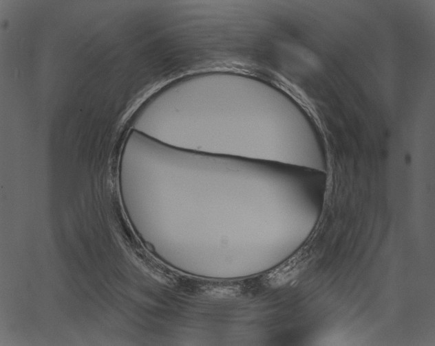 X0000067390155200603311004