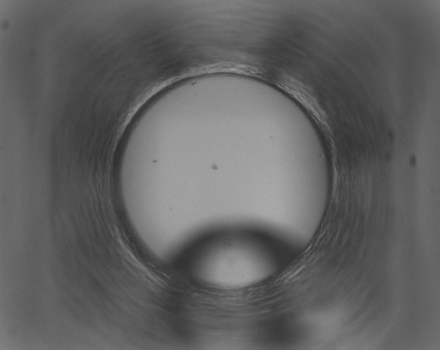 X0000067390156200603311004