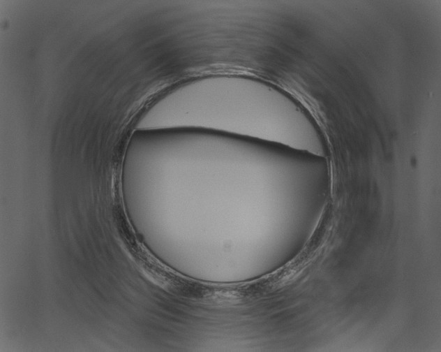 X0000067390157200603311004