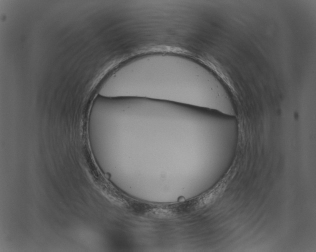 X0000067390159200603311004