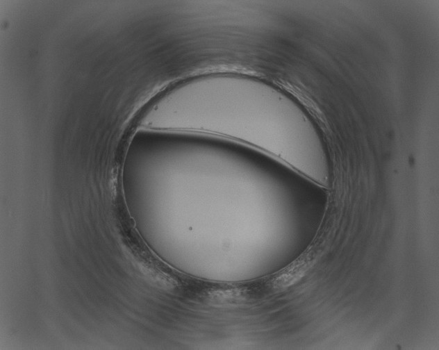 X0000067390160200603311004