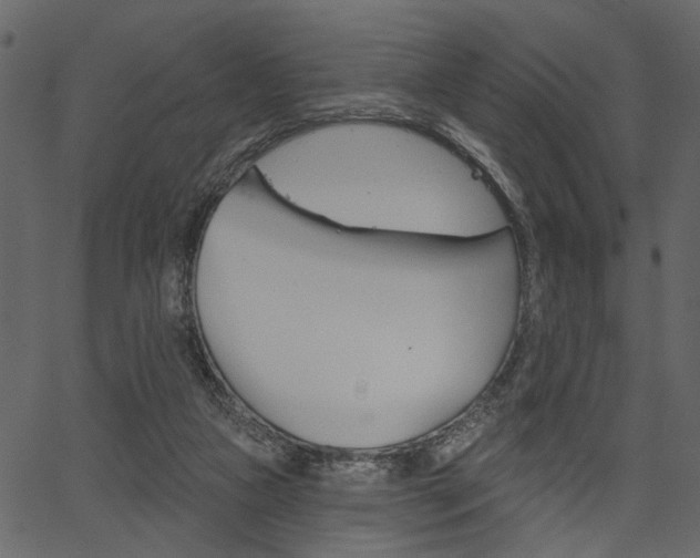 X0000067390161200603311004