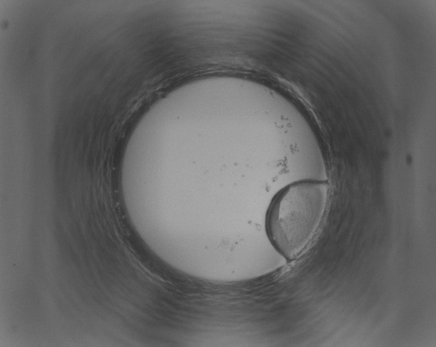 X0000067390162200603311004