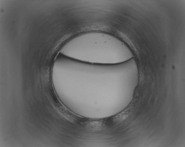 X0000067390163200603311004