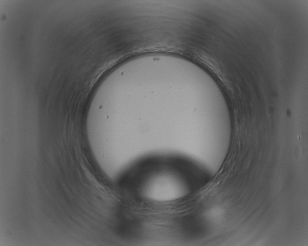 X0000067390164200603311004