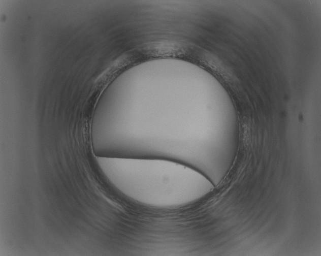 X0000067390165200603311004