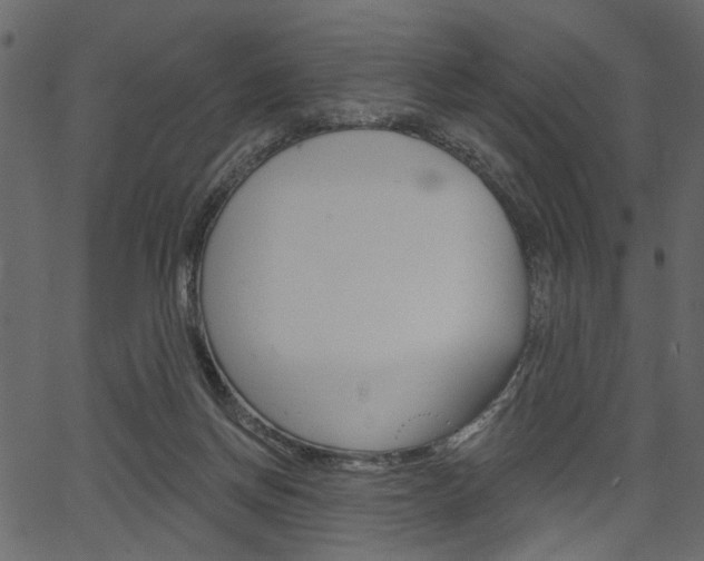 X0000067390166200603311004