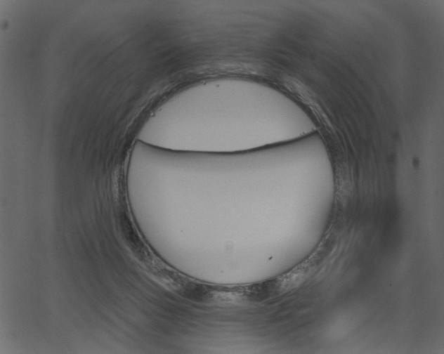 X0000067390167200603311004