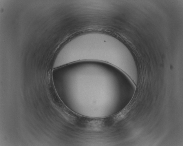 X0000067390168200603311004