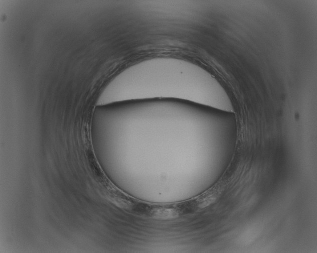 X0000067390169200603311004