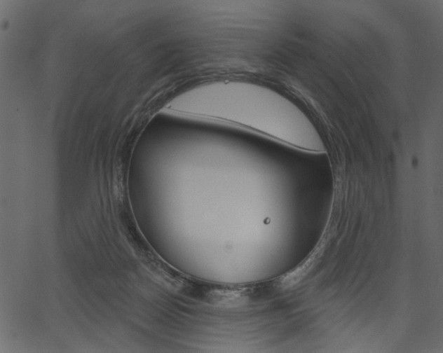 X0000067390170200603311004