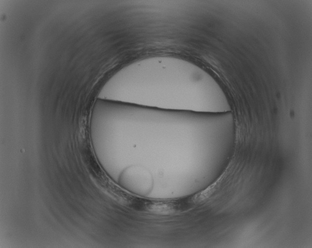 X0000067390171200603311004