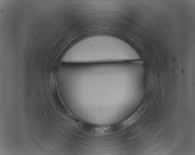 X0000067390172200603311004