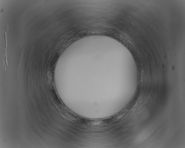 X0000067390173200603311004