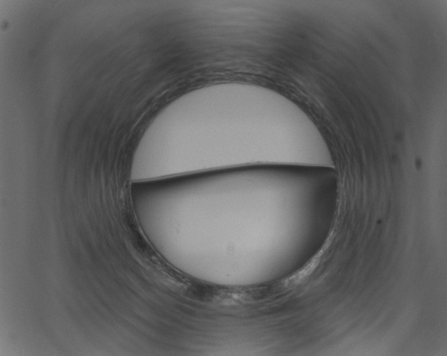 X0000067390174200603311004