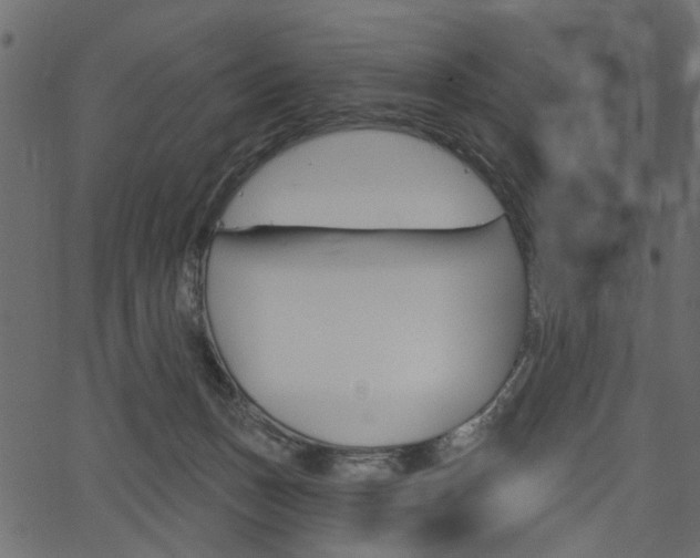 X0000067390175200603311004