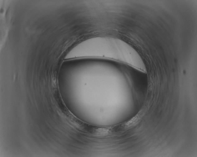 X0000067390176200603311004