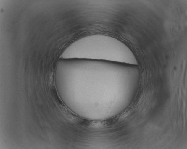 X0000067390177200603311004