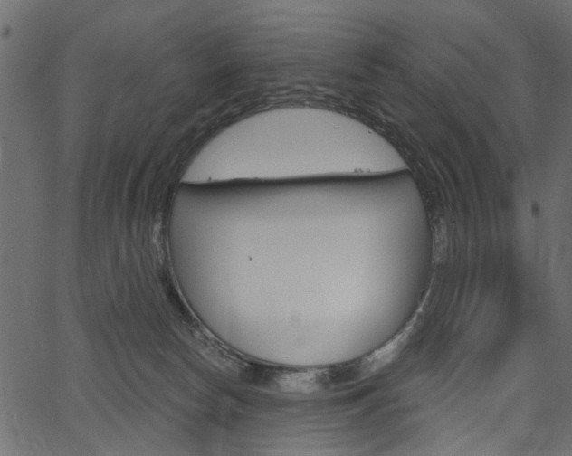 X0000067390178200603311004