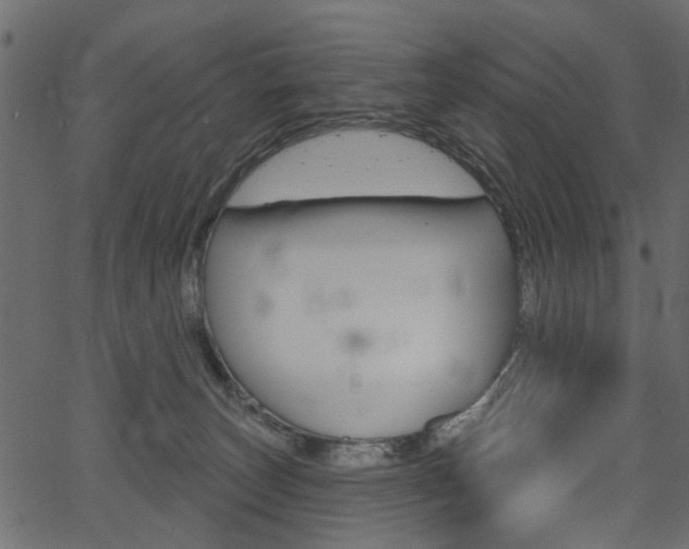 X0000067390179200603311004