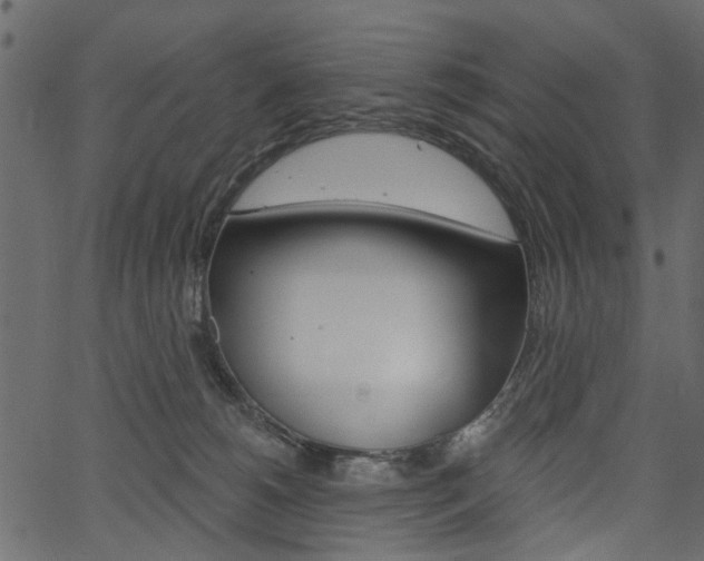 X0000067390180200603311004