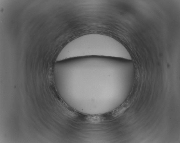 X0000067390181200603311004