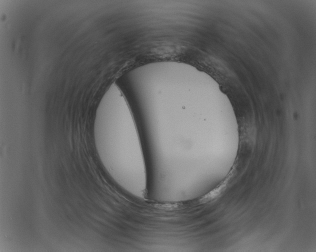 X0000067390182200603311004