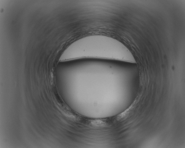 X0000067390183200603311004