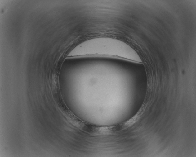 X0000067390184200603311004