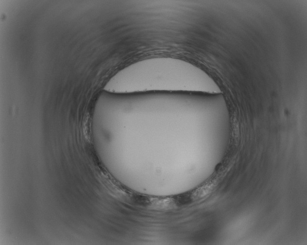 X0000067390185200603311005