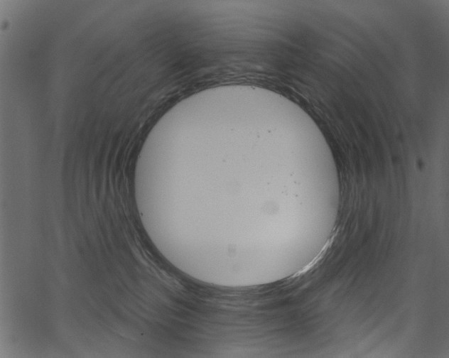 X0000067390187200603311005