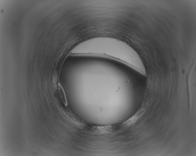 X0000067390188200603311005