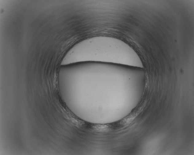 X0000067390189200603311005